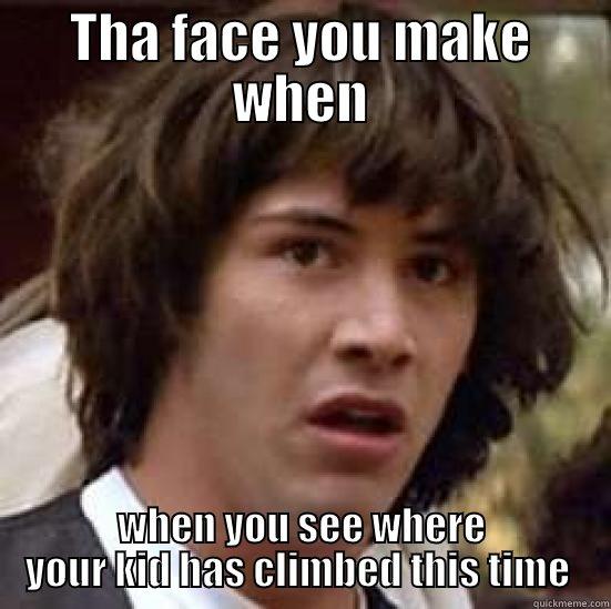 THA FACE YOU MAKE WHEN WHEN YOU SEE WHERE YOUR KID HAS CLIMBED THIS TIME  conspiracy keanu