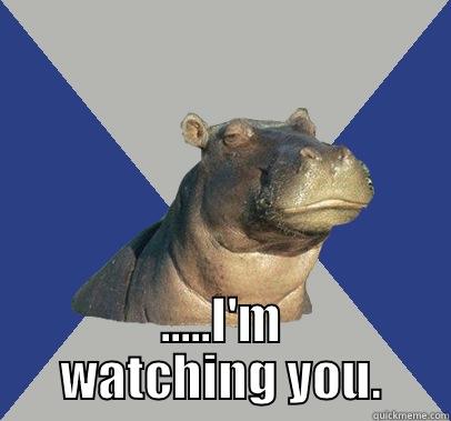  .....I'M WATCHING YOU. Skeptical Hippo