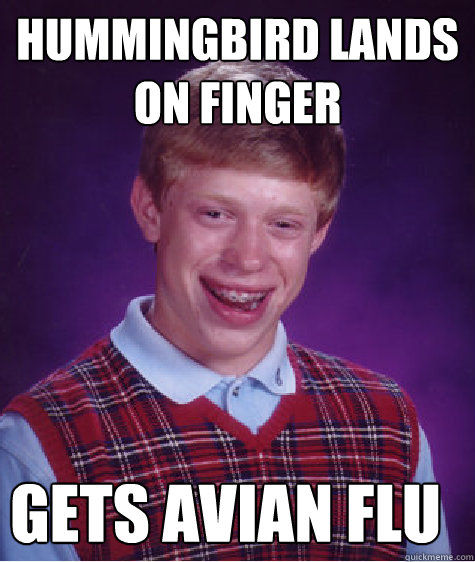 Hummingbird lands on finger gets avian flu  Bad Luck Brian