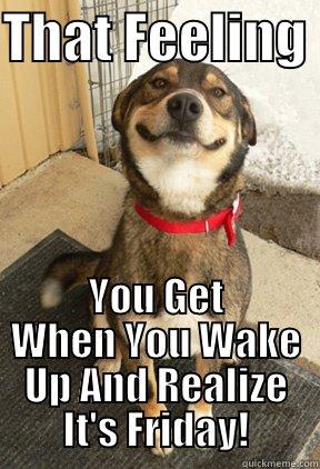 Wonderful Beautiful Friday - THAT FEELING  YOU GET WHEN YOU WAKE UP AND REALIZE IT'S FRIDAY! Good Dog Greg