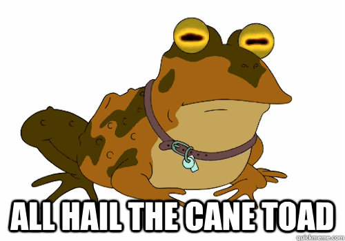 all hail the cane toad - all hail the cane toad  Hypno-toad