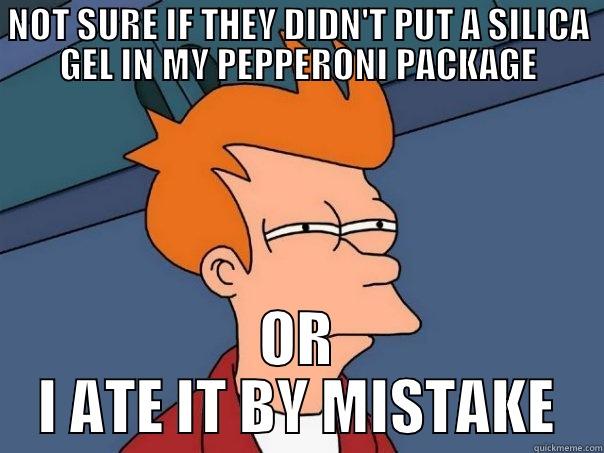 NOT SURE IF THEY DIDN'T PUT A SILICA GEL IN MY PEPPERONI PACKAGE OR I ATE IT BY MISTAKE Futurama Fry