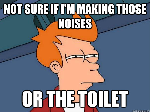 Not sure if I'm making those noises  or the toilet  Futurama Fry