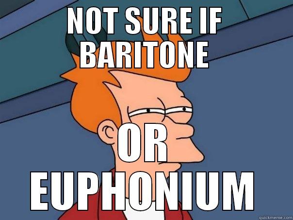 NOT SURE IF BARITONE OR EUPHONIUM Futurama Fry