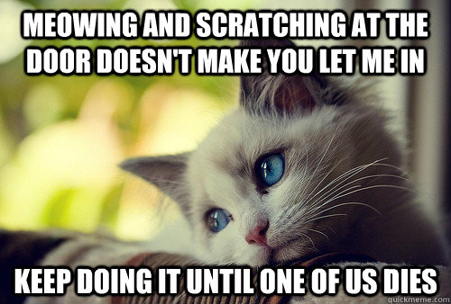 meowing and scratching at the door doesn't make you let me in keep doing it until one of us dies  First World Problems Cat