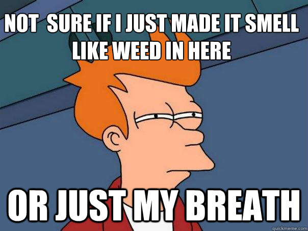 Not  sure if i just made it smell like weed in here Or just my breath  Futurama Fry