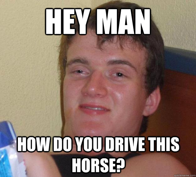 Hey man How do you drive this horse?  10 Guy