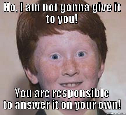 NO, I AM NOT GONNA GIVE IT TO YOU! YOU ARE RESPONSIBLE TO ANSWER IT ON YOUR OWN! Over Confident Ginger