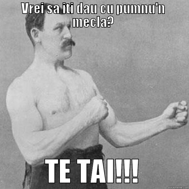 TE TAI - VREI SA ITI DAU CU PUMNU'N MECLA? TE TAI!!! overly manly man