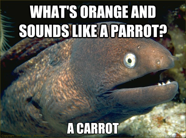 What's orange and sounds like a Parrot? A Carrot  Bad Joke Eel