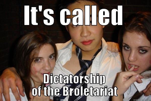 IT'S CALLED DICTATORSHIP OF THE BROLETARIAT Misc