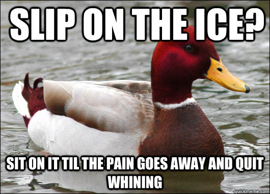 Slip on the ice? Sit on it til the pain goes away and quit whining  - Slip on the ice? Sit on it til the pain goes away and quit whining   Malicious Advice Mallard