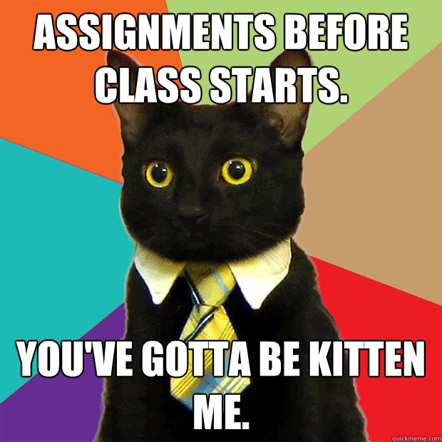 Assignments before class starts. you've gotta be kitten me.  Business Cat