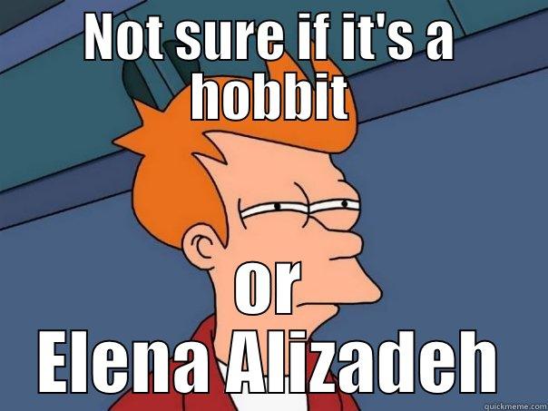 NOT SURE IF IT'S A HOBBIT OR ELENA ALIZADEH Futurama Fry