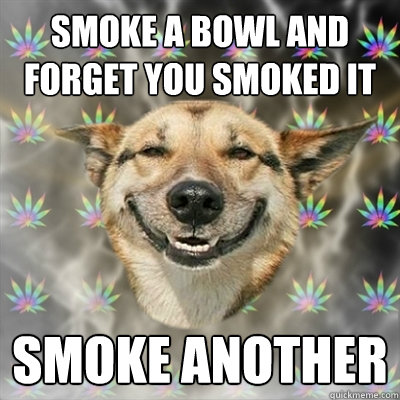 Smoke a bowl and forget you smoked it Smoke another  Stoner Dog