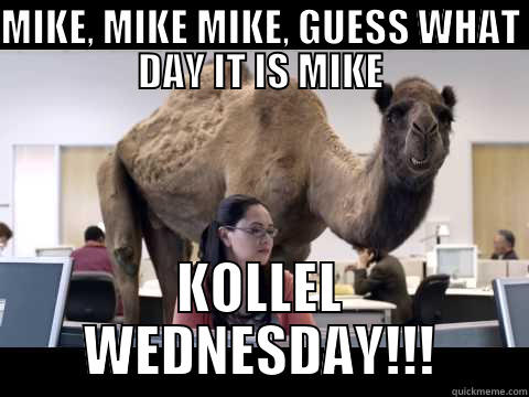 KOLLEL WEDNESDAY - MIKE, MIKE MIKE, GUESS WHAT DAY IT IS MIKE KOLLEL WEDNESDAY!!! Misc