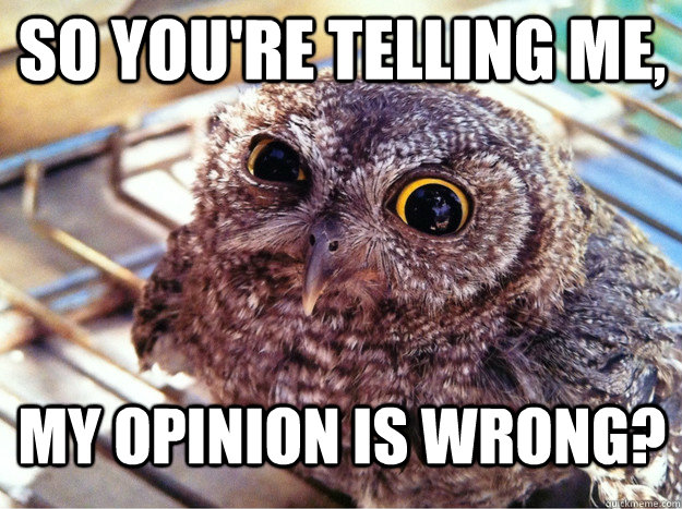 So you're telling me, My opinion is wrong?  