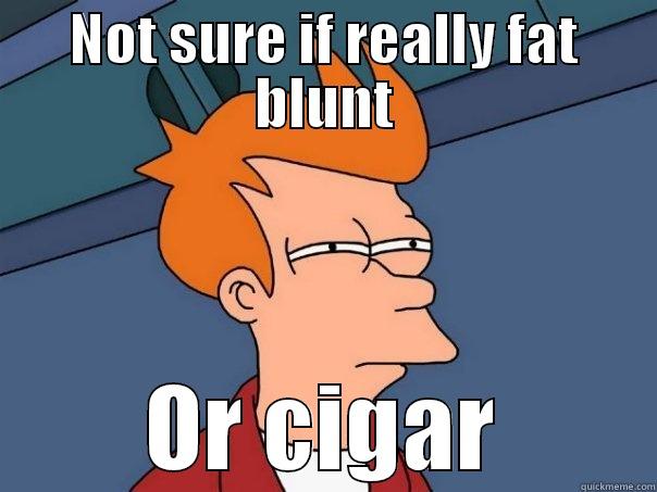 NOT SURE IF REALLY FAT BLUNT OR CIGAR Futurama Fry