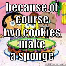 BECAUSE OF COURSE TWO COOKIES MAKE A SPONGE Misc