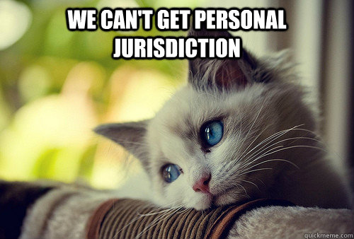 WE CAN'T GET PERSONAL JURISDICTION   First World Problems Cat