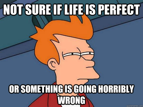 Not sure if life is perfect Or something is going horribly wrong  Futurama Fry