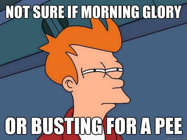 Not sure if morning glory Or busting for a pee  Futurama Fry