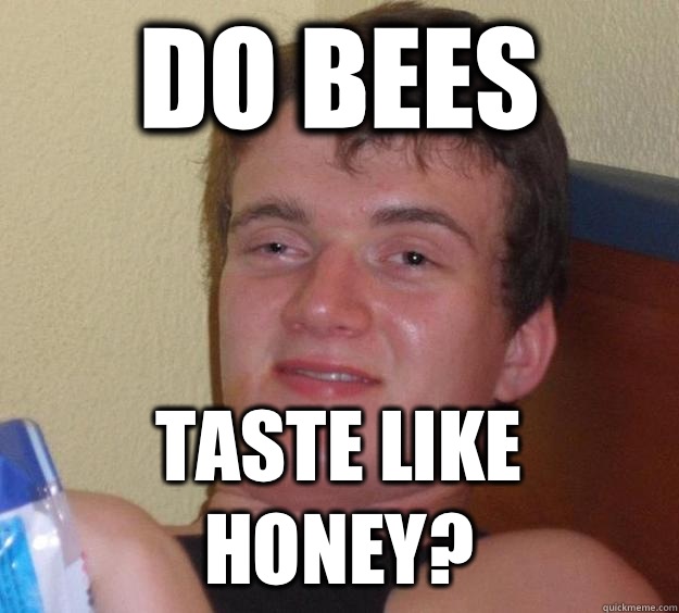 Do bees Taste like honey?  10 Guy