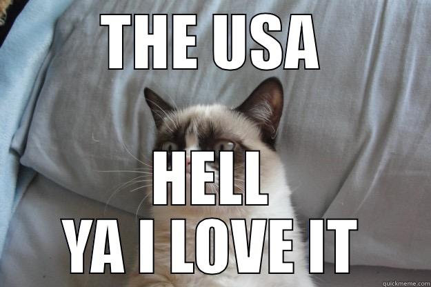 THE USA HELL YA I LOVE IT Grumpy Cat