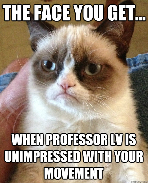 The face you get... When Professor Lv is unimpressed with your movement  Grumpy Cat