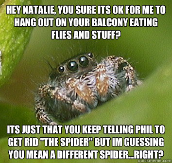 HEY NATALIE, YOU SURE ITS OK FOR ME TO HANG OUT ON YOUR BALCONY EATING FLIES AND STUFF? ITS JUST THAT YOU KEEP TELLING PHIL TO GET RID 