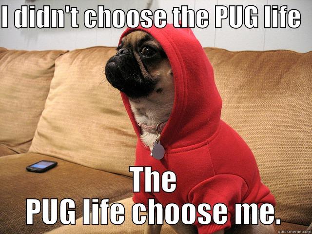 I DIDN'T CHOOSE THE PUG LIFE   THE PUG LIFE CHOOSE ME. Misc