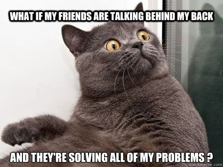 what if my friends are talking behind my back and they're solving all of my problems ?  conspiracy cat