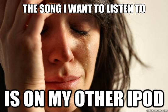 The song i want to listen to is on my other ipod  First World Problems