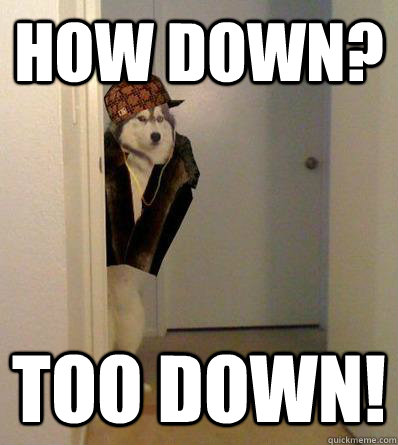 how down? TOO DOWN!  Scumbag dog