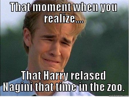 MY WHOLE LIFE IS A LIE!!!!!!!! - THAT MOMENT WHEN YOU REALIZE.... THAT HARRY RELEASED NAGINI THAT TIME IN THE ZOO. 1990s Problems