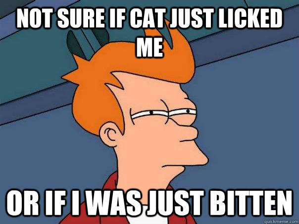 Not sure if cat just licked me OR if i was just bitten  Futurama Fry