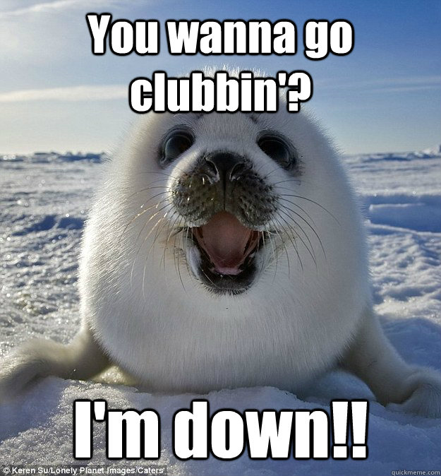 You wanna go clubbin'? I'm down!!
  Easily Pleased Seal