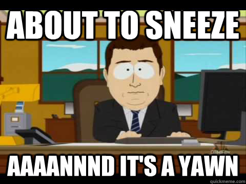 about to sneeze  Aaaannnd it's a yawn - about to sneeze  Aaaannnd it's a yawn  Aaand its gone