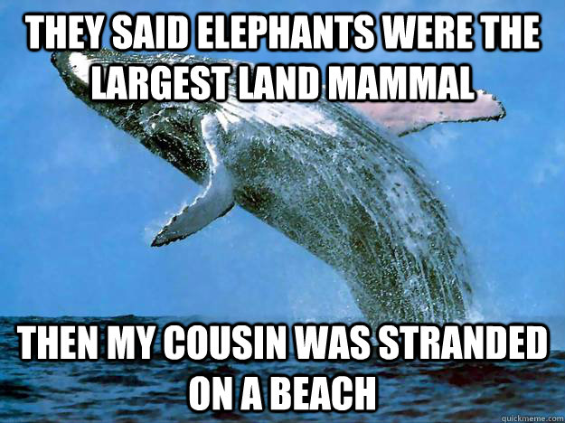 they said elephants were the largest land mammal then my cousin was stranded on a beach - they said elephants were the largest land mammal then my cousin was stranded on a beach  Low self esteem whale