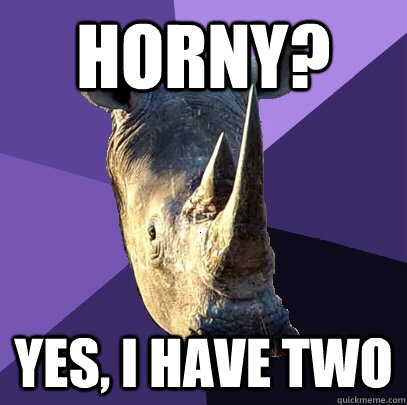 horny? Yes, I have two  Sexually Oblivious Rhino