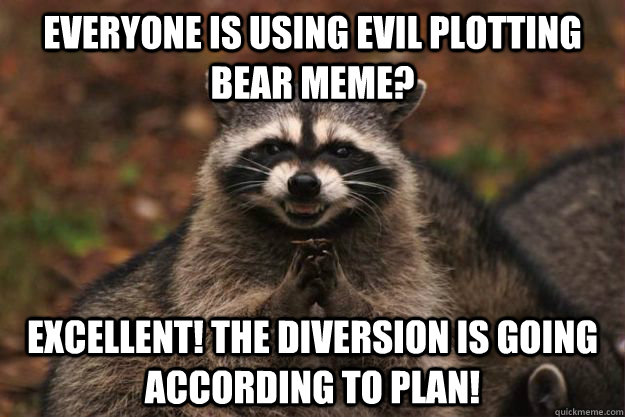 Everyone is using evil plotting bear meme? Excellent! The diversion is going according to plan!  Evil Plotting Raccoon