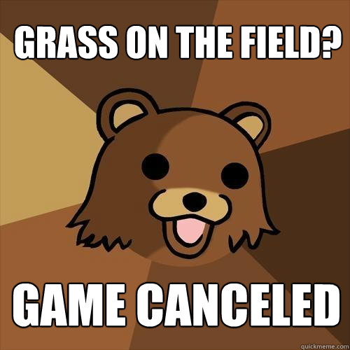 Grass on the field? Game canceled  Pedobear