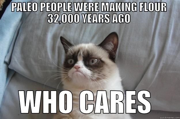 PALEO PEOPLE WERE MAKING FLOUR 32,000 YEARS AGO WHO CARES  Grumpy Cat