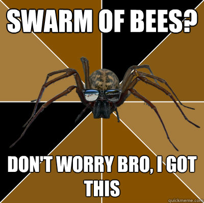 Swarm of bees? Don't worry bro, I got this  