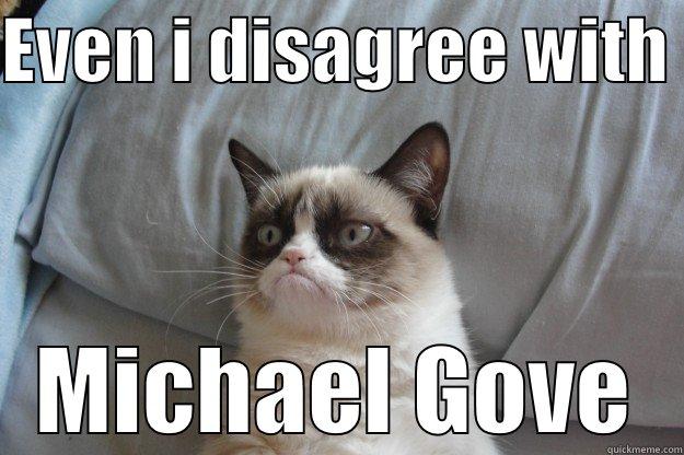 Grumpy cat hates Gove - EVEN I DISAGREE WITH  MICHAEL GOVE Grumpy Cat