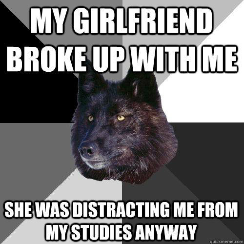 my girlfriend broke up with me she was distracting me from my studies anyway  Sanity Wolf