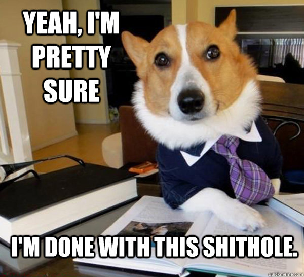 Yeah, I'm pretty sure I'm done with this shithole.  Lawyer Dog