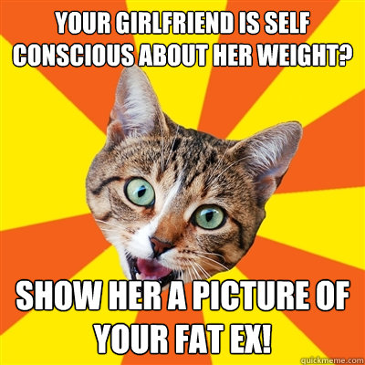 Your girlfriend is self conscious about her weight? Show her a picture of your fat ex!  Bad Advice Cat