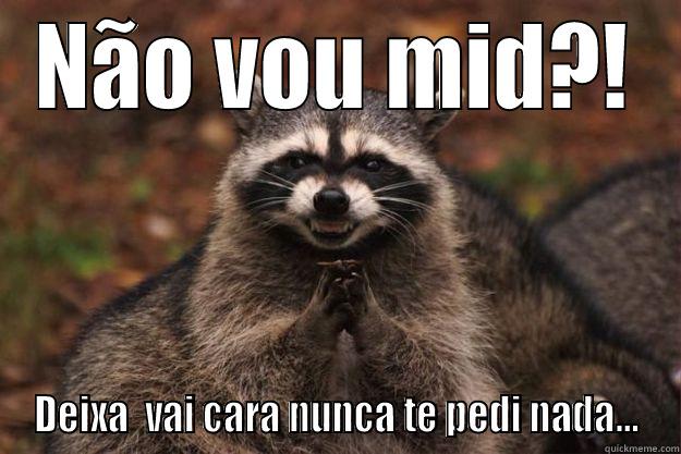 NÃO VOU MID?! DEIXA  VAI CARA NUNCA TE PEDI NADA... Evil Plotting Raccoon