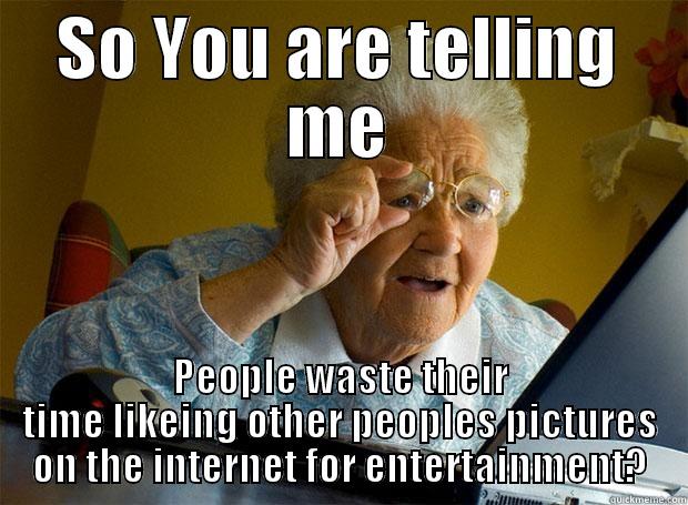 SO YOU ARE TELLING ME PEOPLE WASTE THEIR TIME LIKEING OTHER PEOPLES PICTURES ON THE INTERNET FOR ENTERTAINMENT? Grandma finds the Internet